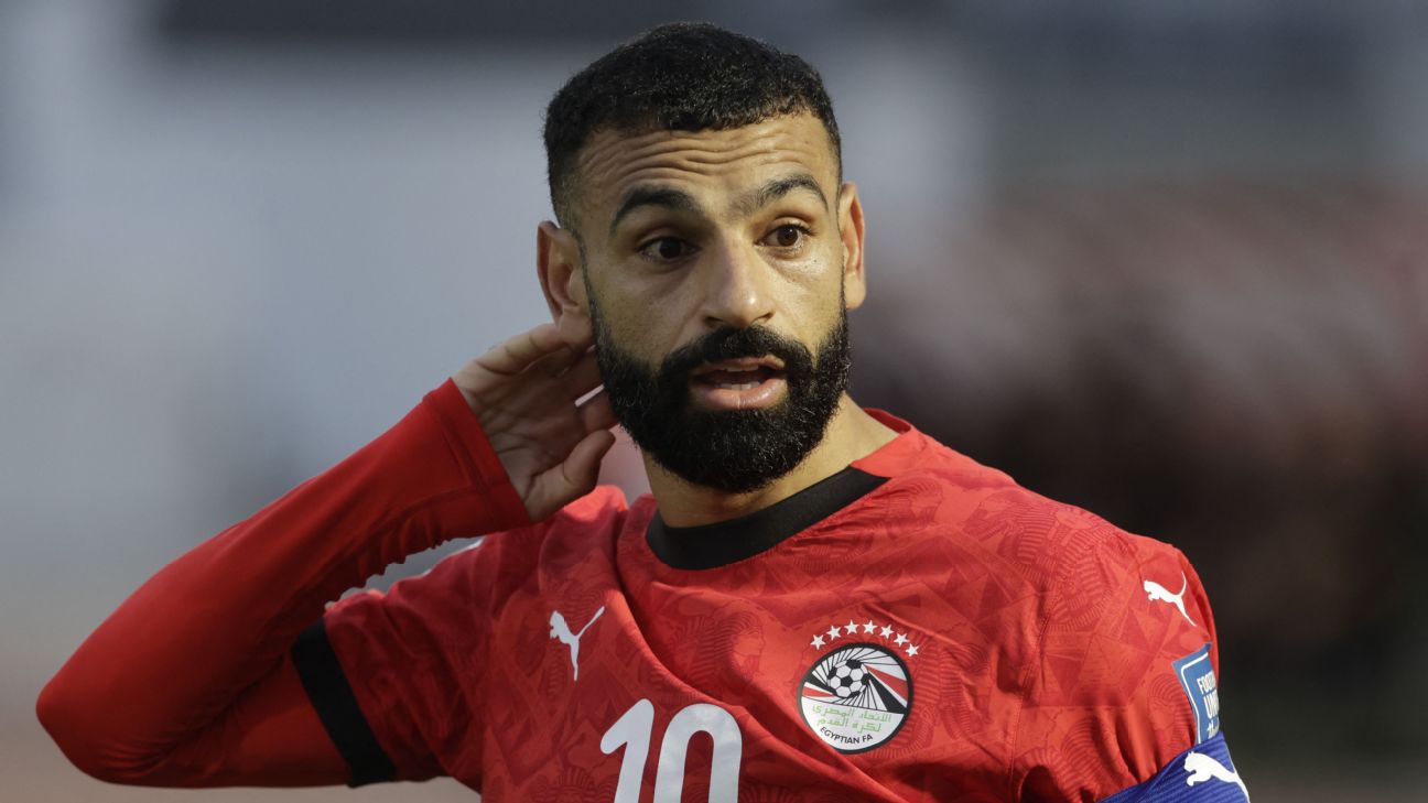 FIFA要求埃及世界杯球衣撤下7颗星 号码也改成白色
